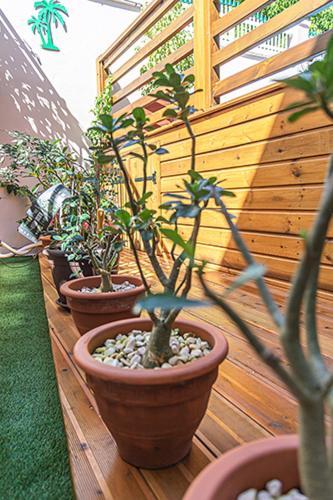 Villa Dalhia 푸앵트-누아르 외부 사진